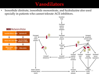 Vasodilators 
• Isosorbide dinitrate, isosorbide mononitrate, and hydralazine also used 
specially in patients who cannot tolerate ACE inhibitors. 
37 
 