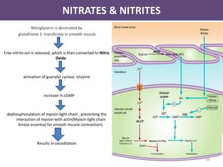 NITRATES & NITRITES 
Nitroglycerin is denitrated by 
glutathione S -transferase in smooth muscle 
Free nitrite ion is released, which is then converted to Nitric 
Oxide 
activation of guanylyl cyclase enzyme 
increase in cGMP 
dephosphorylation of myosin light chain , preventing the 
interaction of myosin with actin(Myosin light chain 
kinase essential for smooth muscle contraction). 
Results in vasodilation 
39 
 