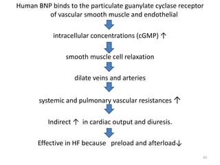 Human BNP binds to the particulate guanylate cyclase receptor 
of vascular smooth muscle and endothelial 
intracellular concentrations (cGMP) ↑ 
smooth muscle cell relaxation 
dilate veins and arteries 
systemic and pulmonary vascular resistances ↑ 
Indirect ↑ in cardiac output and diuresis. 
Effective in HF because preload and afterload↓ 
42 
 