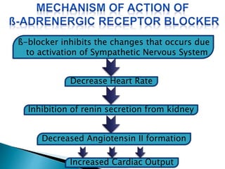 ß-blocker inhibits the changes that occurs due 
to activation of Sympathetic Nervous System 
Decrease Heart Rate 
Inhibition of renin secretion from kidney 
Decreased Angiotensin II formation 
Increased Cardiac Output 
 