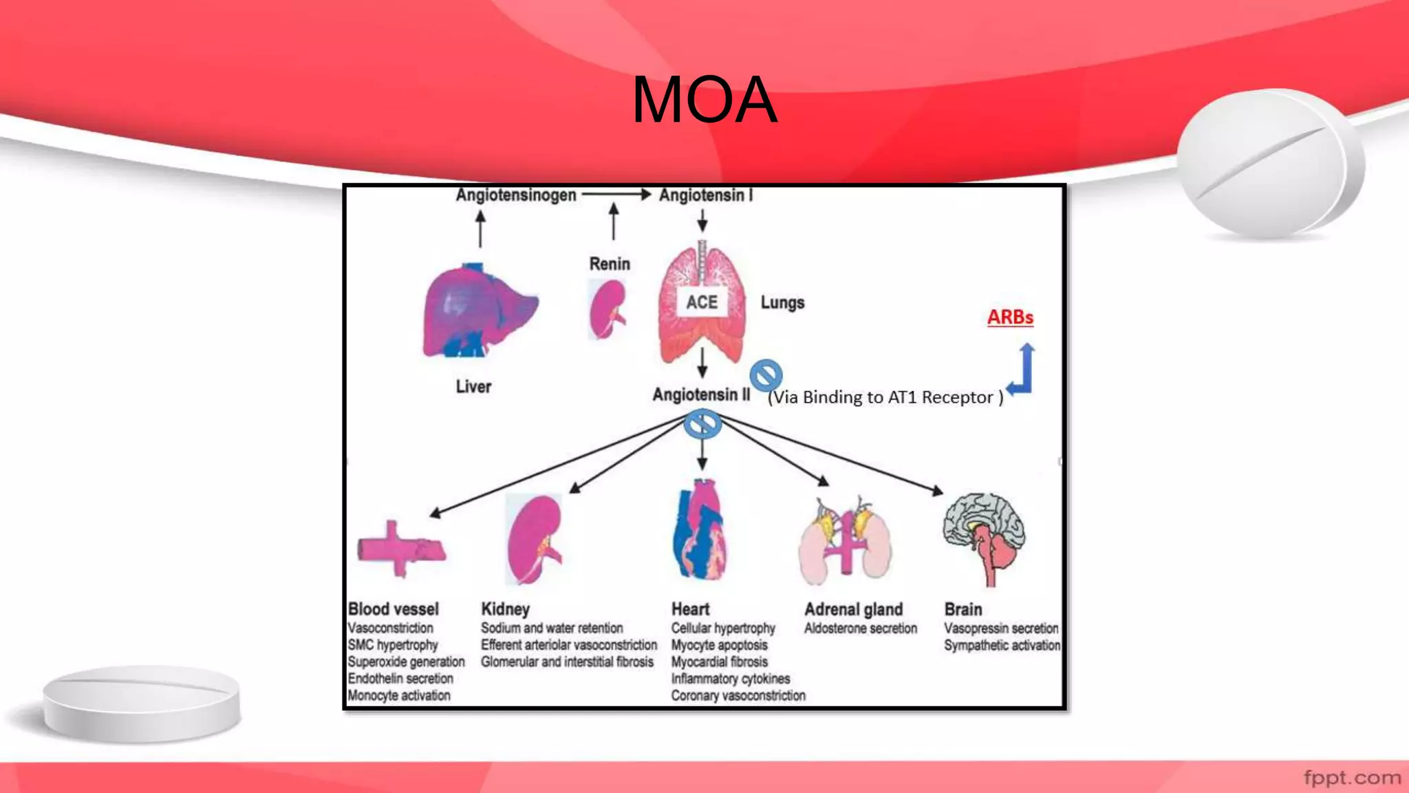 Congestive Heart Failure Drugs | PPTX