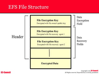 EC-Council
Copyright © by EC-Council
All Rights reserved. Reproduction is strictly prohibited
EFS File Structure
 