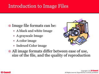 EC-Council
Copyright © by EC-Council
All Rights reserved. Reproduction is strictly prohibited
Introduction to Image Files
~ Image file formats can be:
• A black and white Image
• A grayscale Image
• A color image
• Indexed Color image
~ All image formats differ between ease of use,
size of the file, and the quality of reproduction
 