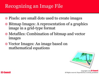 EC-Council
Copyright © by EC-Council
All Rights reserved. Reproduction is strictly prohibited
Recognizing an Image File
~ Pixels: are small dots used to create images
~ Bitmap Images: A representation of a graphics
image in a grid-type format
~ Metafiles: Combination of bitmap and vector
images
~ Vector Images: An image based on
mathematical equations
 