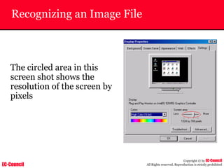 EC-Council
Copyright © by EC-Council
All Rights reserved. Reproduction is strictly prohibited
Recognizing an Image File
The circled area in this
screen shot shows the
resolution of the screen by
pixels
 