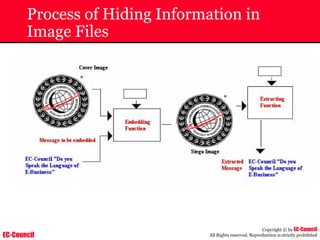 EC-Council
Copyright © by EC-Council
All Rights reserved. Reproduction is strictly prohibited
Process of Hiding Information in
Image Files
 