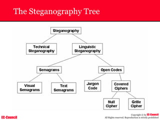 EC-Council
Copyright © by EC-Council
All Rights reserved. Reproduction is strictly prohibited
The Steganography Tree
 