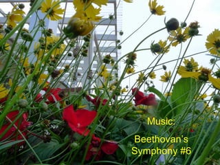 Music: Beethovan’s Symphony #6 