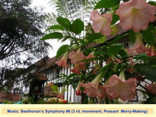 Music: Beethovan’s Symphony #6 (3 rd. movement, Peasant  Merry-Making) 