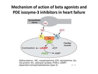 Mechanism of action of beta agonists and
PDE isozyme-3 inhibitors in heart failure
 