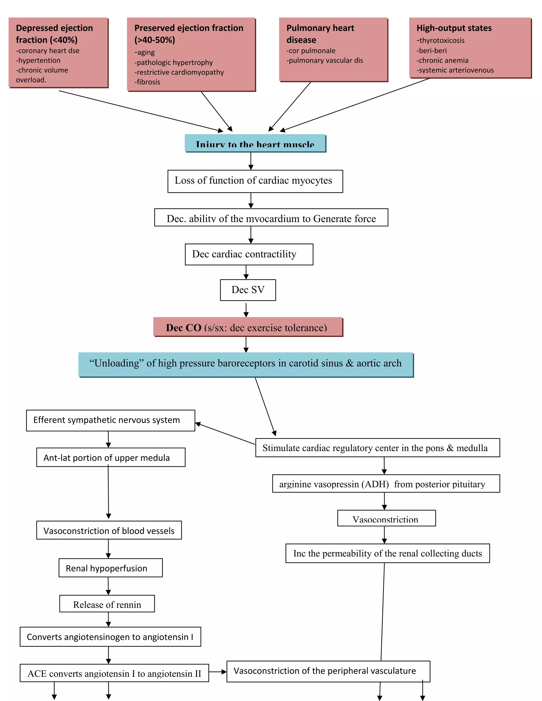 congestive heart failure pathophysiology | DOC