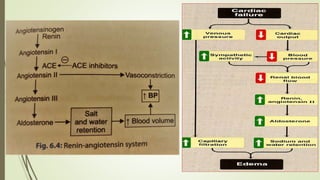 Congestive Heart Failure and Drugs used in CCF by Dr. Pawan | PPTX