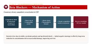 CLASS 3 · NEUROHORM ONA L BLOCKADE
Beta Blockers — Mechanism of Action
Counteract chronic sympathetic overactivation in CHF
Competitively block
β1-adrenergic
receptors in
myocardium
→
↓ Heart rate &
↓ Contractility
(acute)
→
↓ Renin release
↓ Myocardial O₂
demand
→
↓ Chronic sympathetic
toxicity on myocytes →
Reverse remodeling
↑ EF over months
Started at low dose in stable, euvolemic patients and up-titrated slowly — initial negative inotropy is offset by long-term
reduction in catecholamine-driven myocardial damage, improving survival.
 
