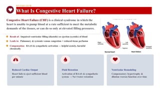 OVERVIEW
What Is Congestive Heart Failure?
Result of: Impaired ventricular filling (diastolic) or ejection (systolic) of blood
Leads to: Pulmonary & systemic venous congestion + reduced tissue perfusion
Compensation: RAAS & sympathetic activation — helpful acutely, harmful
chronically
Congestive Heart Failure (CHF) is a clinical syndrome in which the
heart is unable to pump blood at a rate sufficient to meet the metabolic
demands of the tissues, or can do so only at elevated filling pressures.
Reduced Cardiac Output
Heart fails to eject sufficient blood
per minute
Fluid Retention
Activation of RAAS & sympathetic
system → Na+/water retention
Ventricular Remodeling
Compensatory hypertrophy &
dilation worsen function over time
 