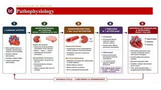M ECHANISM OF DISEASE
Pathophysiology
 