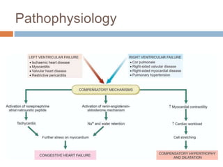 Pathophysiology
 