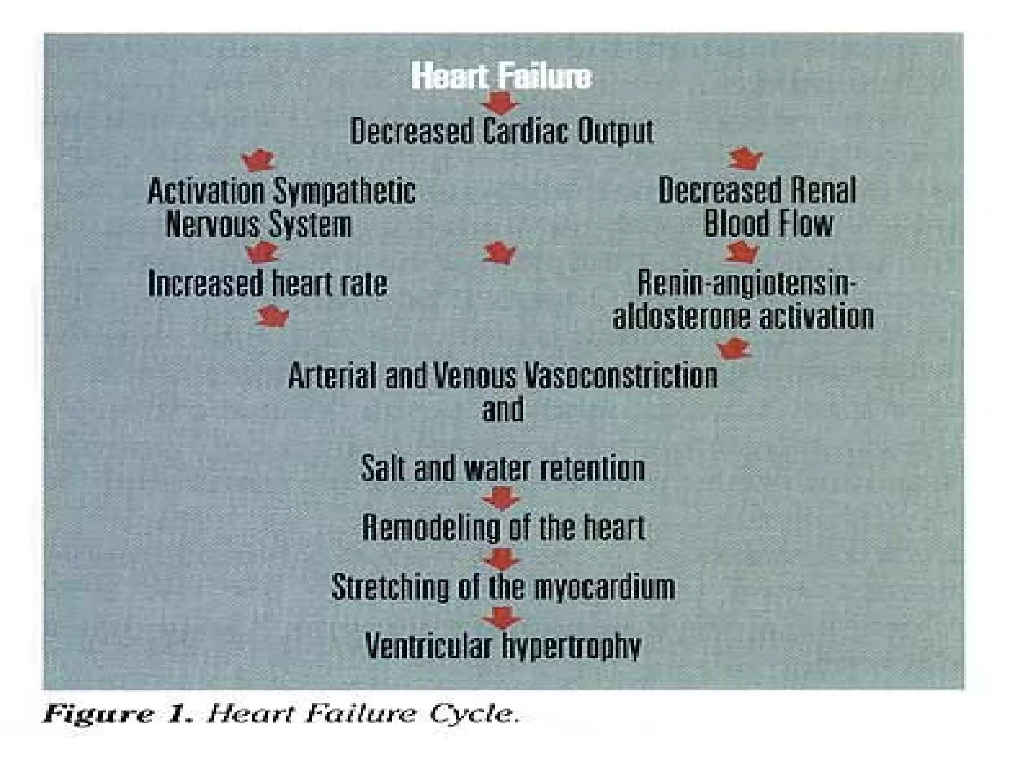 Pathophysiology Of Congestive Heart Failure Pdf Congestive heart failure pathophysiology | PPT