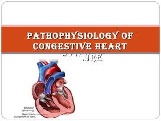 PATHOPHYSIOLOGY OFPATHOPHYSIOLOGY OF
CONGESTIVE HEARTCONGESTIVE HEART
FAILUREFAILURE
 