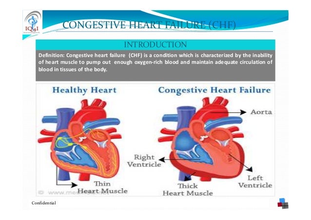 IQ4I Research & Consultancy published a new report on