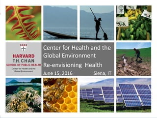 Center for Health and the
Global Environment
Re-envisioning Health
June 15, 2016 Siena, IT
 