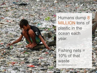 Photo Courtesy Gridam..com
Humans dump 8
MILLION tons of
plastic in the
ocean each
year.
Fishing nets =
10% of that
waste
News.NationalGeographic.com
 