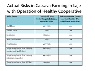 Actual Risks in Cassava Farming in Laje
with Operation of Healthy Cooperative
 