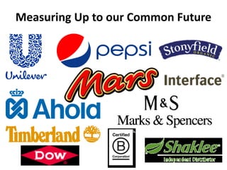 Measuring Up to our Common Future
 