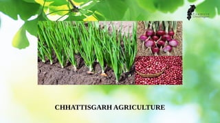 CHHATTISGARH AGRICULTURE
 