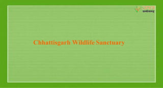 Chhattisgarh Wildlife Sanctuary
 