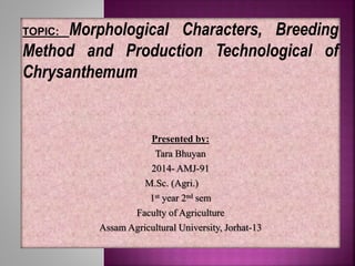 TOPIC: Morphological Characters, Breeding
Method and Production Technological of
Chrysanthemum
Presented by:
Tara Bhuyan
2014- AMJ-91
M.Sc. (Agri.)
1st year 2nd sem
Faculty of Agriculture
Assam Agricultural University, Jorhat-13
 