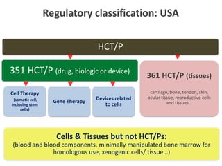 Cell Therapy
(somatic cell,
including stem
cells)
Gene Therapy
Devices related
to cells
351 HCT/P (drug, biologic or device)
361 HCT/P (tissues)
cartilage, bone, tendon, skin,
ocular tissue, reproductive cells
and tissues…
HCT/P
Regulatory classification: USA
Cells & Tissues but not HCT/Ps:
(blood and blood components, minimally manipulated bone marrow for
homologous use, xenogenic cells/ tissue…)
 