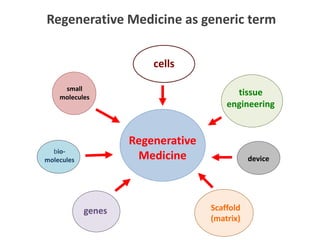 cells
tissue
engineering
Scaffold
(matrix)
genes
small
molecules
Regenerative Medicine as generic term
Regenerative
Medicinebio-
molecules device
 