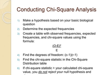 Conducting Chi-Square Analysis
1) Make a hypothesis based on your basic biological
question
2) Determine the expected frequencies
3) Create a table with observed frequencies, expected
frequencies, and chi-square values using the
formula:
(O-E)2
E
4) Find the degrees of freedom: (c-1)(r-1)
5) Find the chi-square statistic in the Chi-Square
Distribution table
6) If chi-square statistic > your calculated chi-square
value, you do not reject your null hypothesis and
 