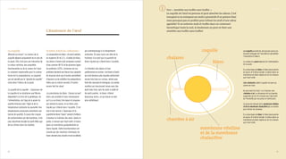 La chimie des aliments 2