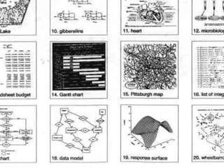Subset of Example Visual Representations
From Lohse et al. 94
 