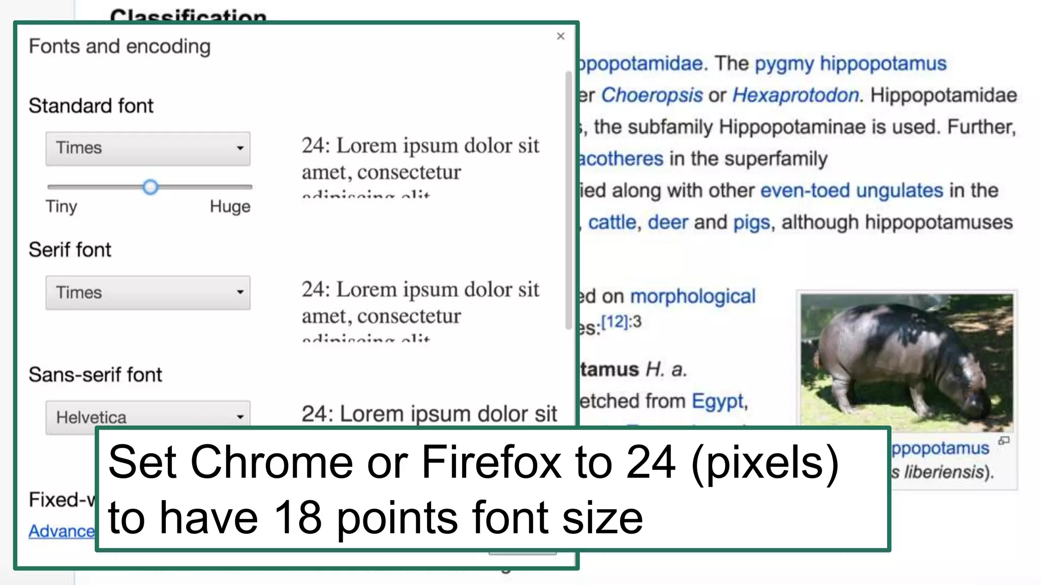 Slide 42