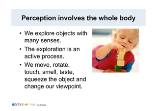 Dag Svanæs
Perception involves the whole body
•  We explore objects with
many senses.
•  The exploration is an
active proc...