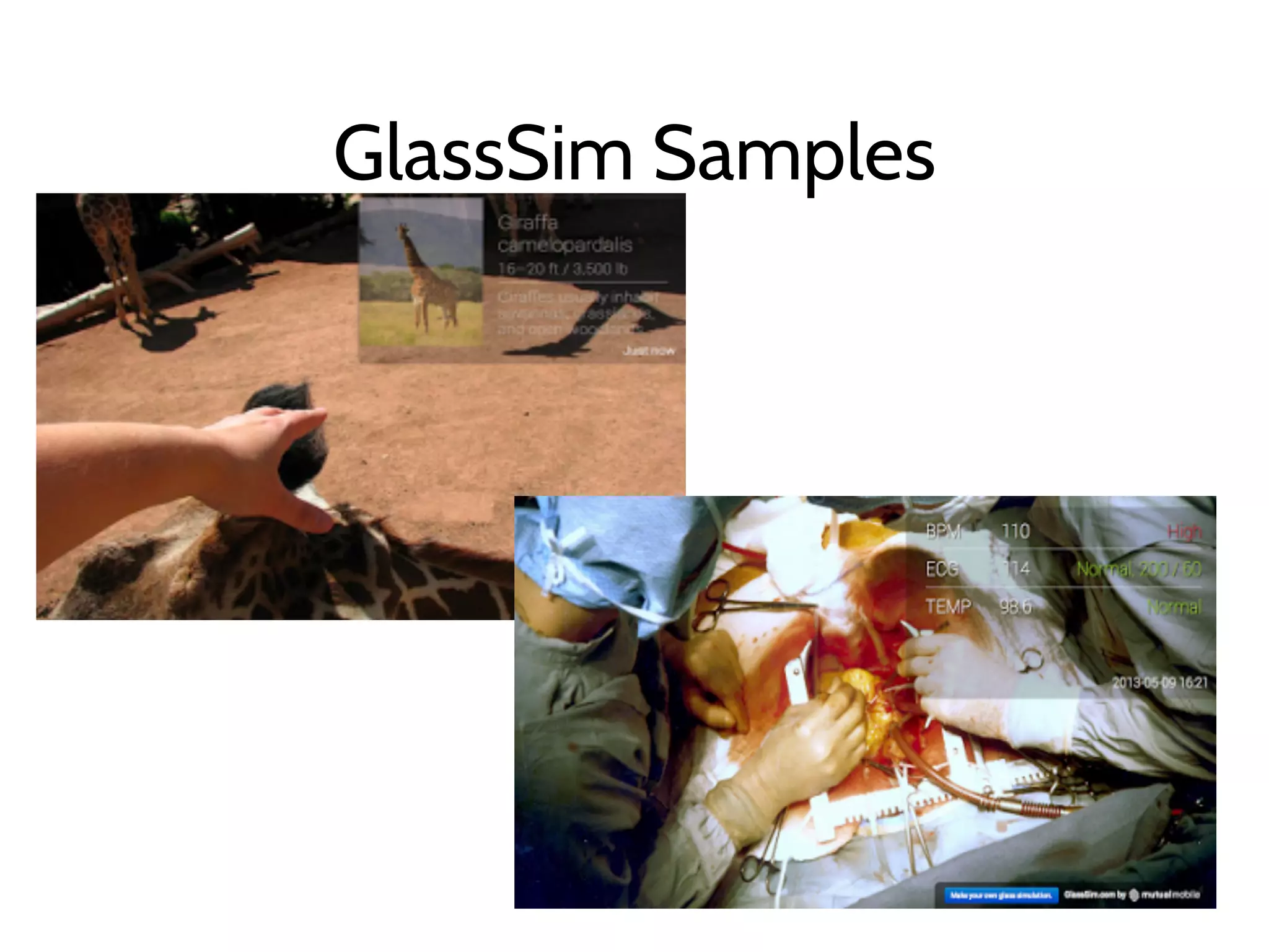 GlassSim Samples
 