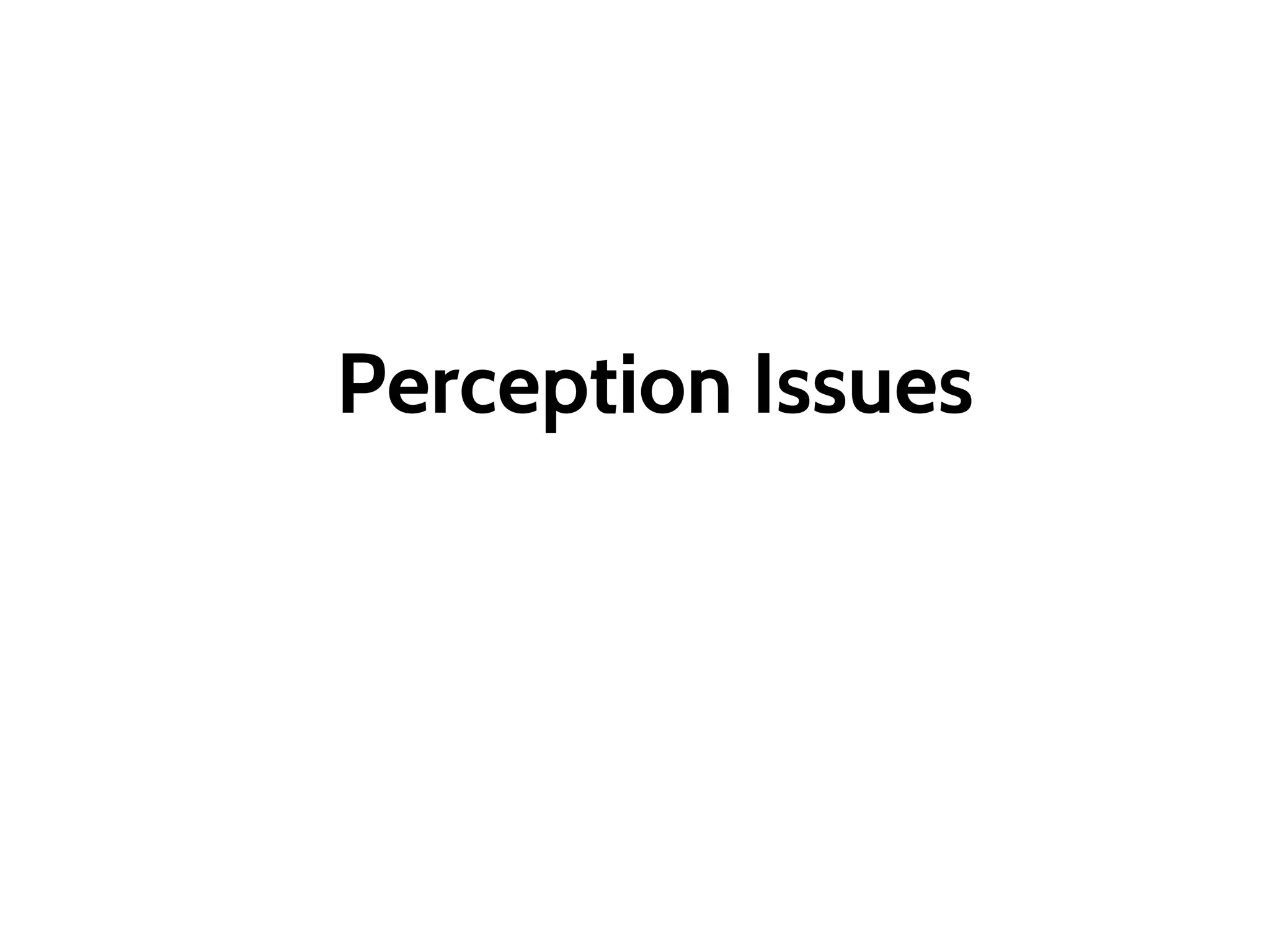 Perception Issues
 