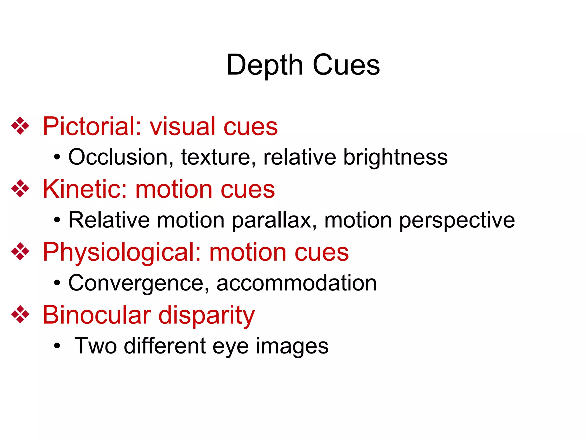 Depth Cues
❖ Pictorial: visual cues
• Occlusion, texture, relative brightness
❖ Kinetic: motion cues
• Relative motion parallax, motion perspective
❖ Physiological: motion cues
• Convergence, accommodation
❖ Binocular disparity
• Two different eye images
 
