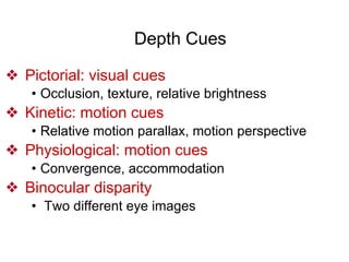 Depth Cues
❖ Pictorial: visual cues
• Occlusion, texture, relative brightness
❖ Kinetic: motion cues
• Relative motion parallax, motion perspective
❖ Physiological: motion cues
• Convergence, accommodation
❖ Binocular disparity
• Two different eye images
 