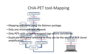 ChIA-PET tool-Mapping
• Mapping was done using the Batman package.
• Only one mismatch was allowed.
• Only PETs with uniquely mapped tags where considered.
• Duplicate PETs were removed as they can be the result of PCR clonal
amplification.
 