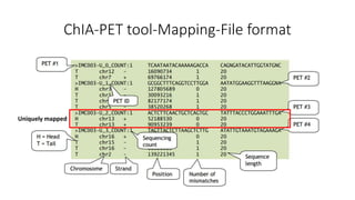 ChIA-PET tool-Mapping-File format
Uniquely mapped
 