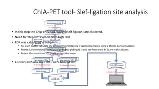 ChIA-PET tool- Slef-ligation site analysis
• In this step the Chip-enriched regions (self-ligation) are clustered.
• Need to filter-out clusters with high FDR
• FDR was calculated as follow:
• For each cluster calculate the probability of obtaining 𝑘 ligation by chance using a Monte-Carlo simulation
• Monte-Carlo simulation consists of randomly picking PETs and see how many PETs are in that cluster.
• Repeat the simulation 100 times and get the mean.
• Clusters with an FDR > 0.01 were filtered-out
 