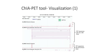 ChIA-PET tool- Visualization (1)
 