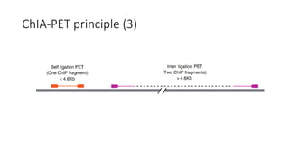 ChIA-PET principle (3)
 