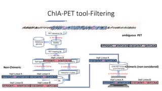 ChIA-PET tool-Filtering
Non-Chimeric Chimeric (non considered)
ambiguous PET
 