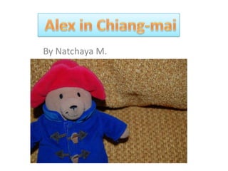  Alex in Chiang-mai By Natchaya M. 