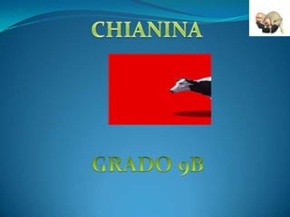 CHIANINA GRADO 9B 