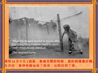 清明 (4 月 5 日 ) 過後，春暖花開的時候，娘的病慢慢好轉。 五月初，竟神奇般地站了起來，出院回到了家。  When the flowers started to bloom after the Ching Ming Festival (April 5), mom could miraculously stand up. She returned home. 